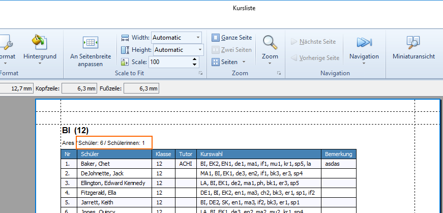 Druckformat 